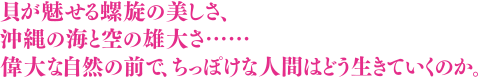 貝が魅せる螺旋の美しさ、沖縄の海と空の雄大さ……偉大な自然の前で、ちっぽけな人間はどう生きていくのか。