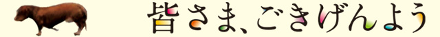 『皆さま、ごきげんよう』