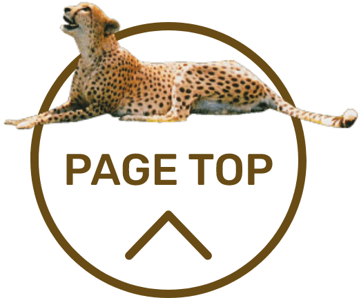 page top