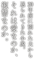 20年前に別れた夫から送られてきた小説。それは愛なのか、復讐なのか。