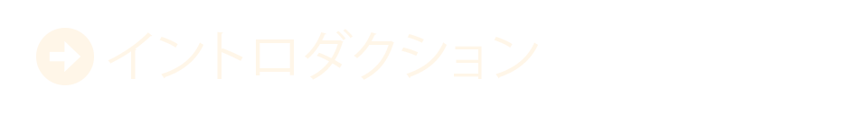 イントロダクション